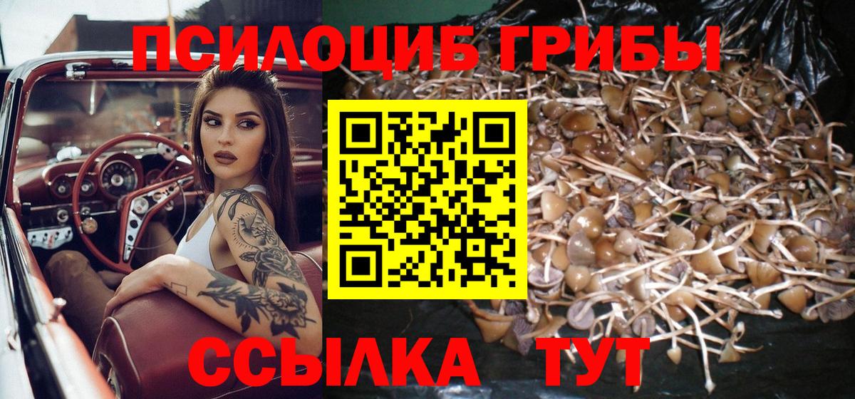 Псилоцибиновые грибы прущие грибы Вязники