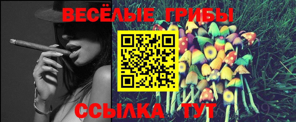 МЕФ Вязники