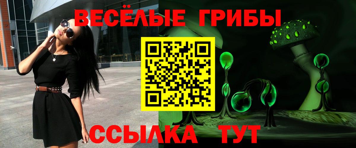 Вязники  Псилоцибиновые грибы GOLDEN TEACHER  Вход с VPN 